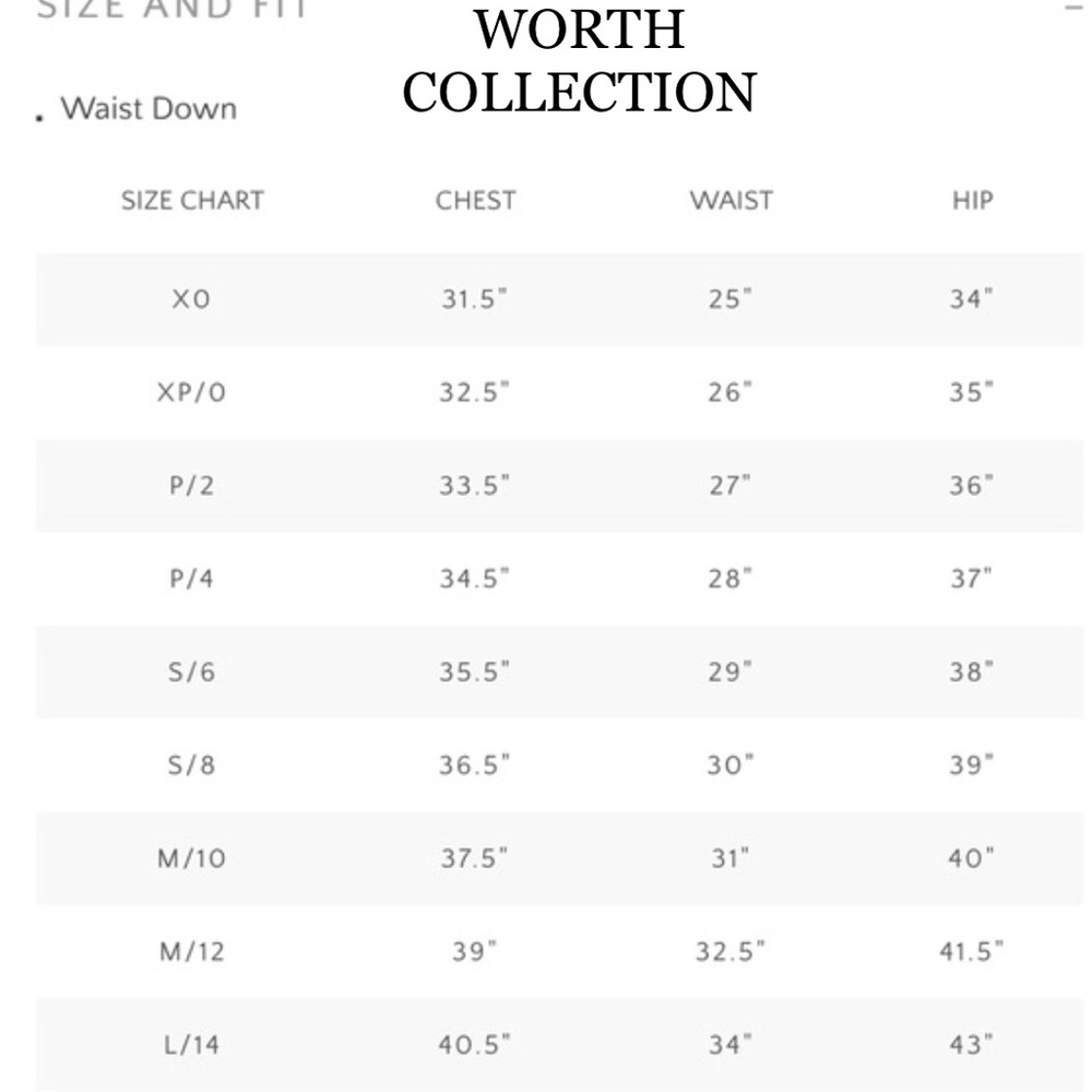 WORTH NEW YORK COLLECTION LEATHER BELT Size PT - Picture 12 of 12